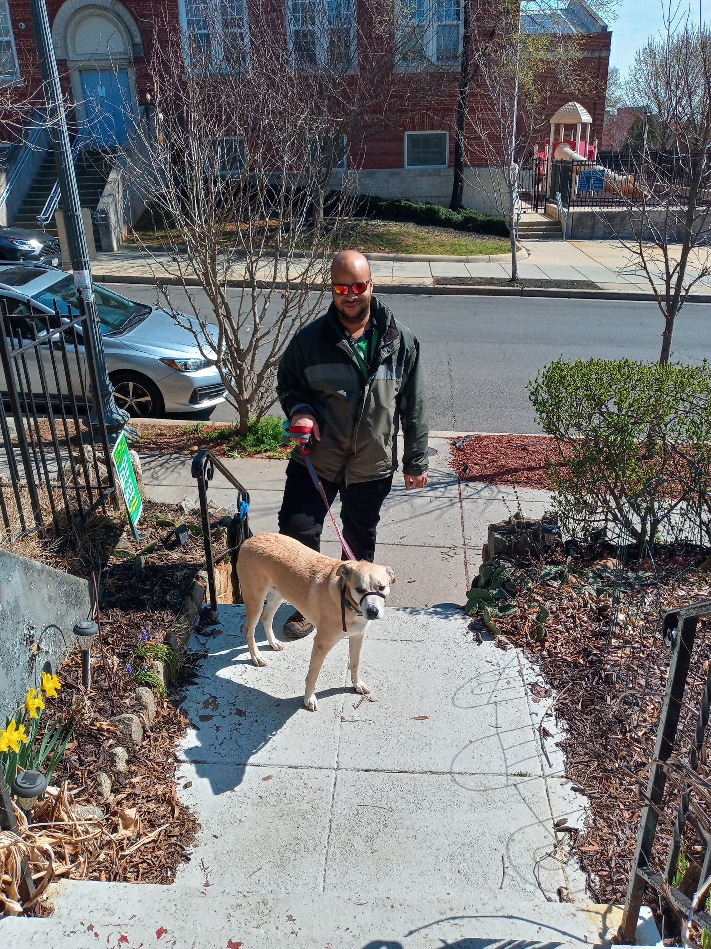 Mid-day Dog Walking Services (Select Neighborhoods in Northeast DC Only)